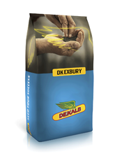 Rapssæk med DK Exbury